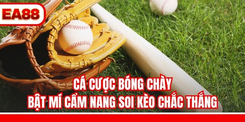 Cá Cược Bóng Chày - Bật Mí Cẩm Nang Soi Kèo Chắc Thắng