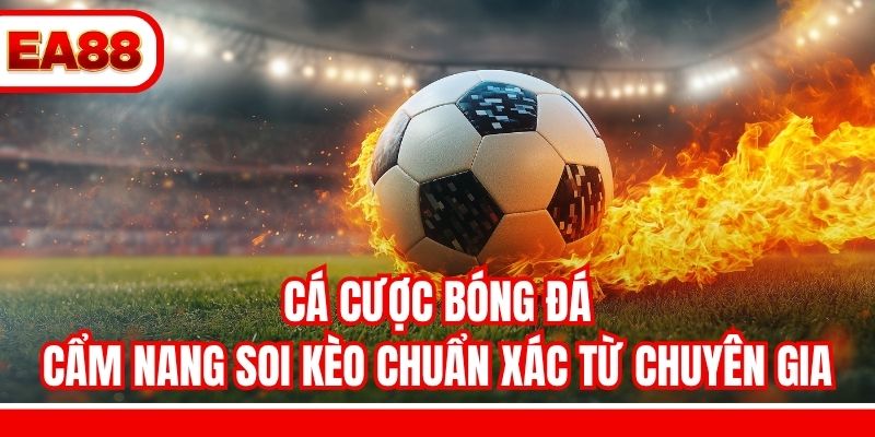 Cá Cược Bóng Đá - Cẩm Nang Soi Kèo Chuẩn Xác Từ Chuyên Gia