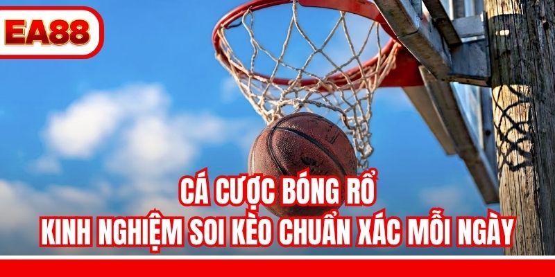 Cá Cược Bóng Rổ - Kinh Nghiệm Soi Kèo Chuẩn Xác Mỗi Ngày