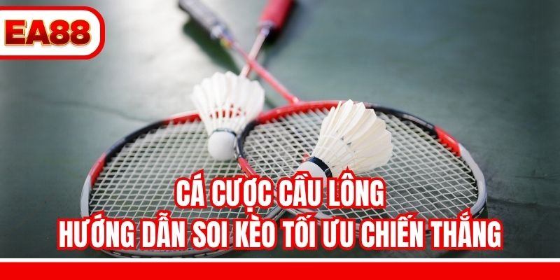 Cá Cược Cầu Lông - Hướng Dẫn Soi Kèo Tối Ưu Chiến Thắng