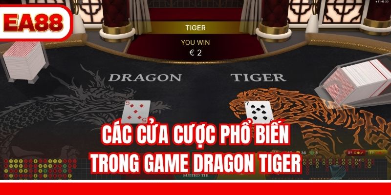 Các cửa cược phổ biến trong game Dragon Tiger