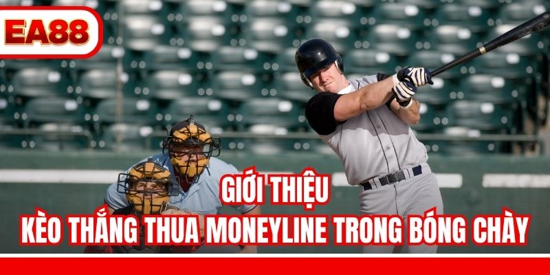 Giới thiệu kèo thắng thua Moneyline trong bóng chày
