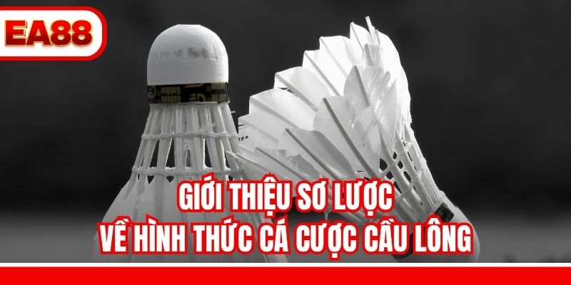 Giới thiệu sơ lược về hình thức cá cược cầu lông