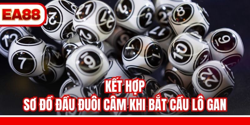 Kết hợp sơ đồ đầu đuôi câm khi bắt cầu lô gan