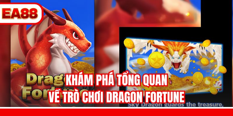 Khám phá tổng quan về trò chơi Dragon Fortune