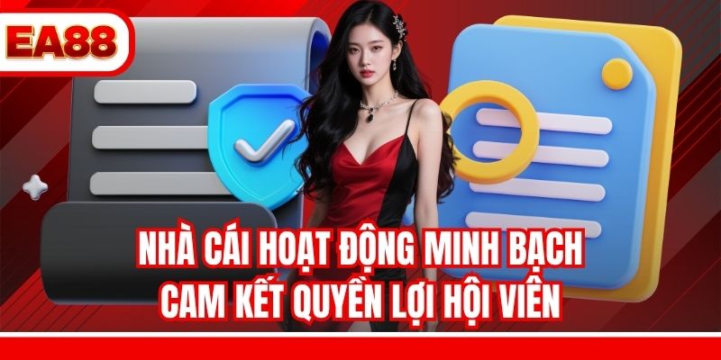 Nhà cái hoạt động minh bạch, cam kết quyền lợi hội viên
