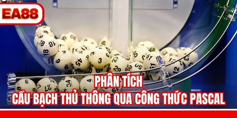 Phân tích cầu bạch thủ thông qua công thức Pascal