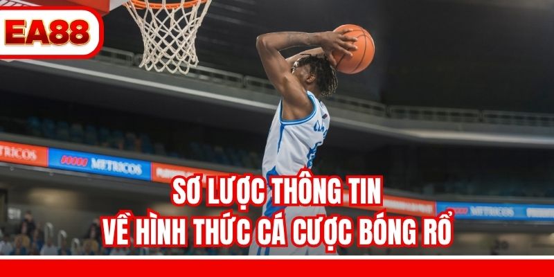 Sơ lược thông tin về hình thức cá cược bóng rổ