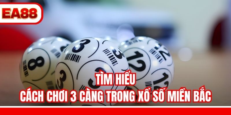 Tìm hiểu cách chơi 3 càng trong xổ số miền Bắc