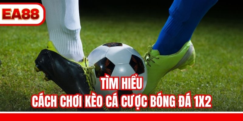 Tìm hiểu cách chơi kèo cá cược bóng đá 1X2