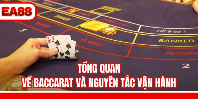 Tổng quan về Baccarat và nguyên tắc vận hành