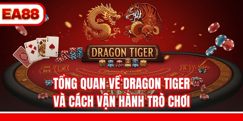 Tổng quan về Dragon Tiger và cách vận hành trò chơi